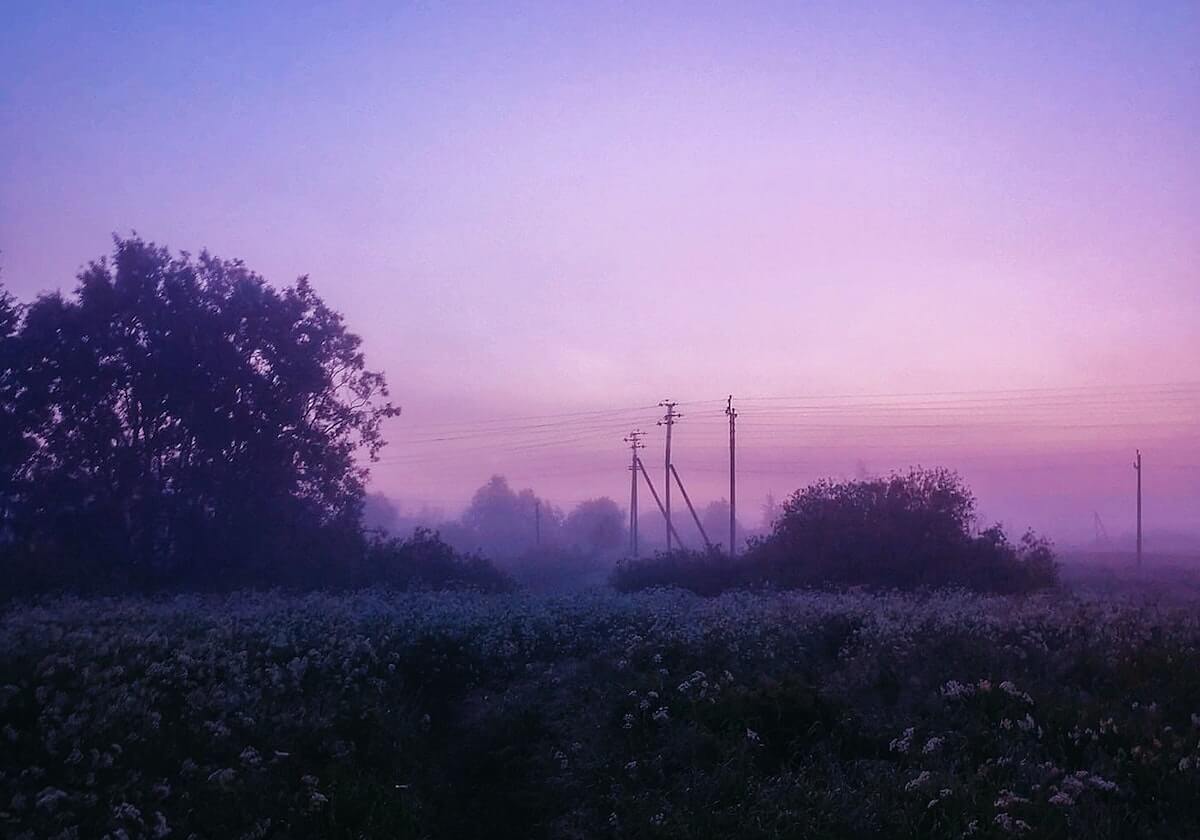 开云娱乐：引领无界数字娱乐的新纪元